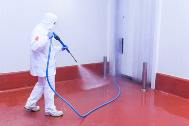 Best Playground Equipment Cleaning  in Citrus Hills, FL